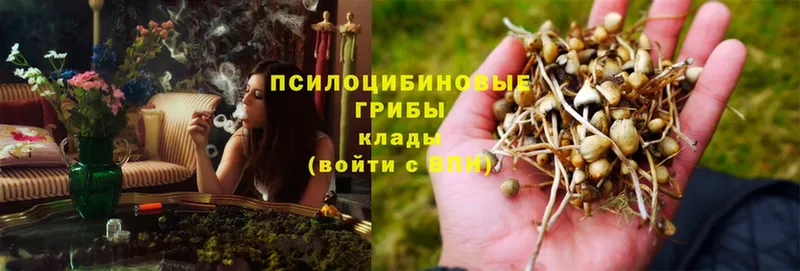 Галлюциногенные грибы Magic Shrooms  Карачев 